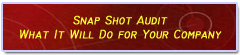 ITVerified Snap Shot Audit